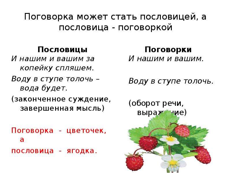 Проекта поговорки. Пословицы, поговорки, загадки.