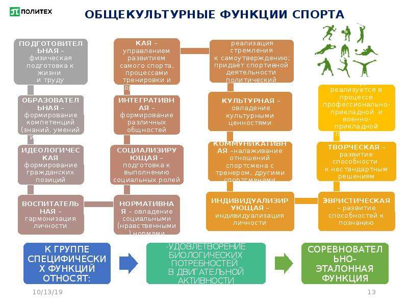 Социальные функции культуры и спорта