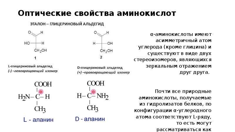 Физико химические свойства белка