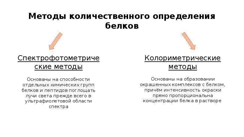 Методы определения белков