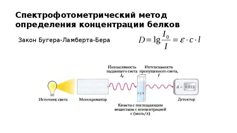 Методы определения белка