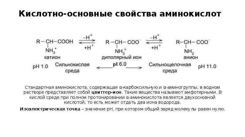 Белок катион