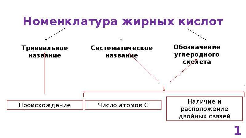 Кислоты классификация номенклатура. Высшие жирные кислоты номенклатура. Классификация жирных кислот биохимия. Жирные кислоты их классификация и номенклатура. Жирные кислоты насыщенные и ненасыщенные классификация.