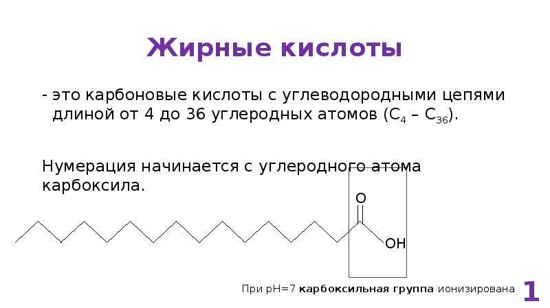 Классификация и номенклатура жирных кислот. Жирные кислоты с длинной цепью. Липиды жирные кислоты и их номенклатура. Классификация жирных кислот.