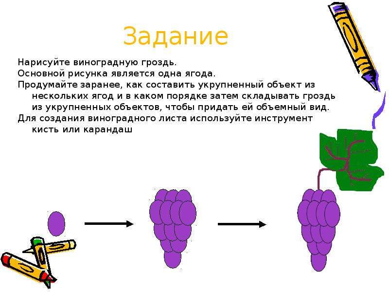 Задание Нарисуйте виноградную гроздь. Основной рисунка является одна ягода. Продумайте заранее, как