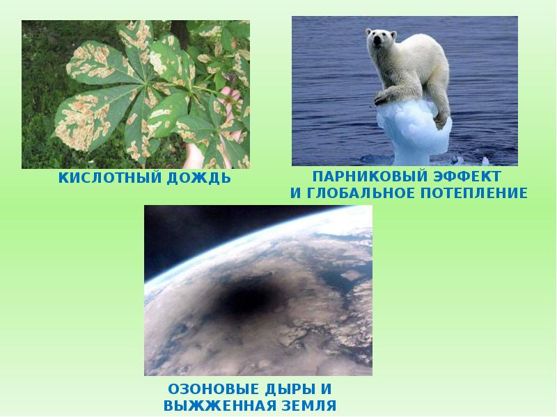 Парниковый эффект кислотного дождя. Кислотные дожди и озоновые дыры. Глобальное потепление озоновые дыры. Озоновые дыры кислотные дожди и парниковый эффект. Озоновые дыры и парниковый эффект.