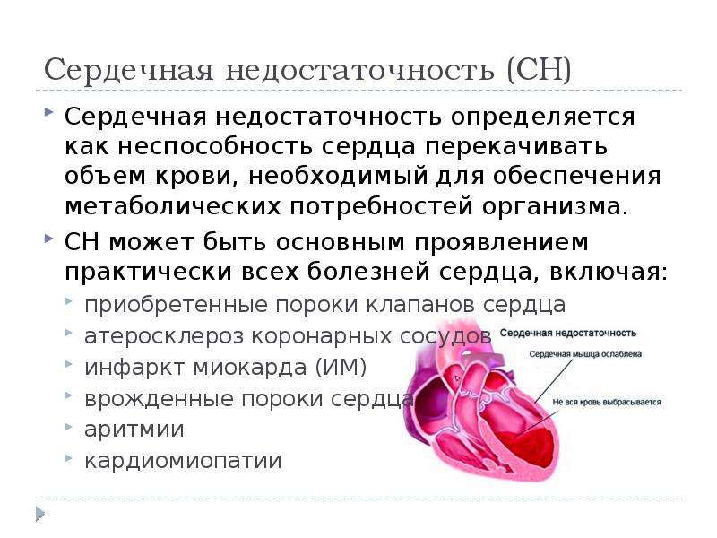 Средства влияющие на сердечно сосудистую систему презентация