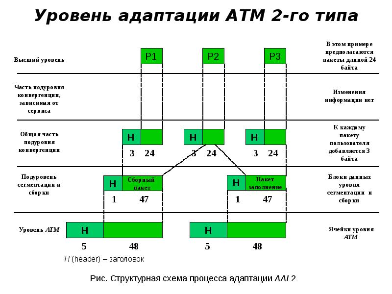 Адаптационный потенциал это