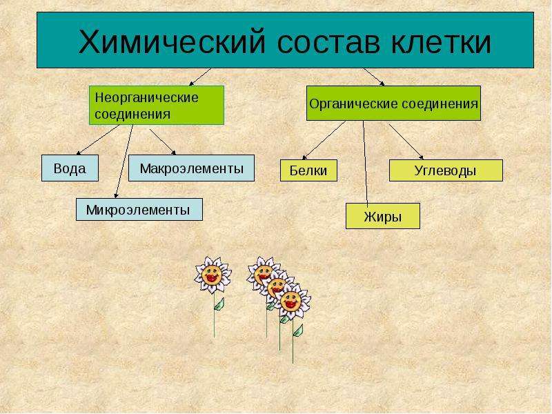 Презентация химическая организация природы 9 класс