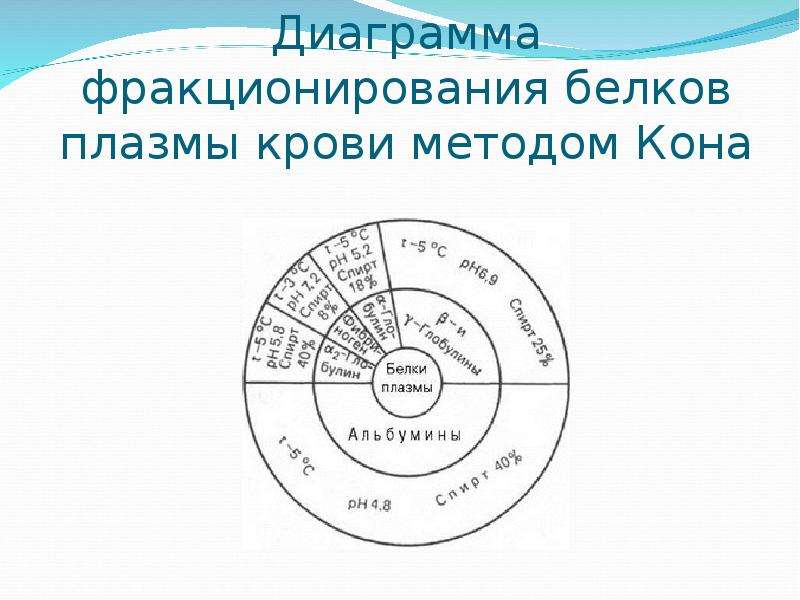 Фракционирования плазмы. Методы фракционирования белков плазмы крови. Методы фракционирования белков. Метод Кона фракционирование белков. Фракционирование белков плазмы крови принципы методов.