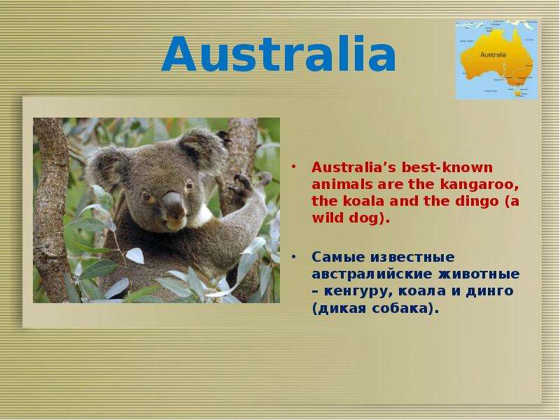 Английский язык написать про животного. Животные Австралии на англ. Проект по английскому животные Австралии. Животные в Австралии англ язык. Презентация животные Австралии коала.