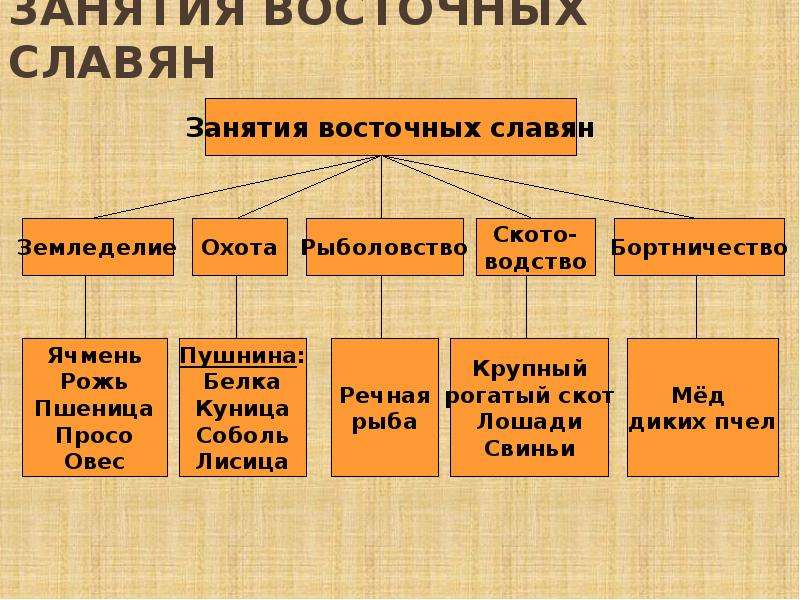 Занятия восточных славян. Восточные славяне в древности. Основные занятия восточных славян. Занятия восточных славян в древности.