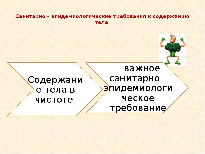 Тело содержать. Основные гигиенические требования к содержанию тела рук полости рта. Санитарно-эпидемиологические требования к содержанию тела. Санитарные требования к содержанию тела в чистоте. Укажите основные гигиенические требования к содержанию.