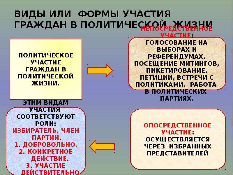 Формы участия граждан в политической жизни