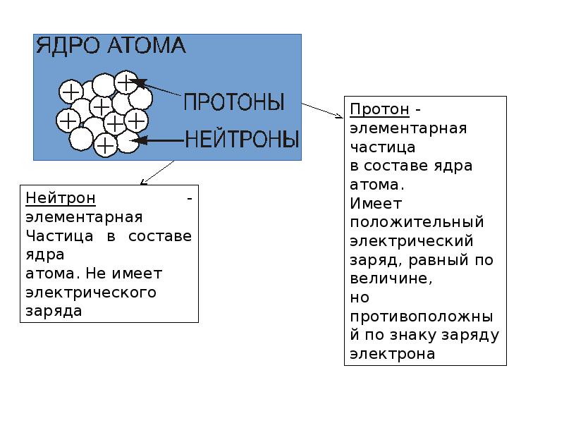 Состав молекулы оснований