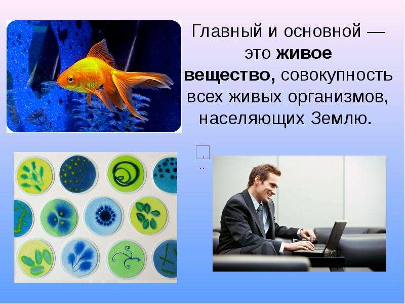 Живое вещество планеты совокупность всех живых организмов. Живое вещество это совокупность. Совокупность всех живых организмов. Совокупность всех живых организмов биосферы. Живое вещество это совокупность живых организмов.