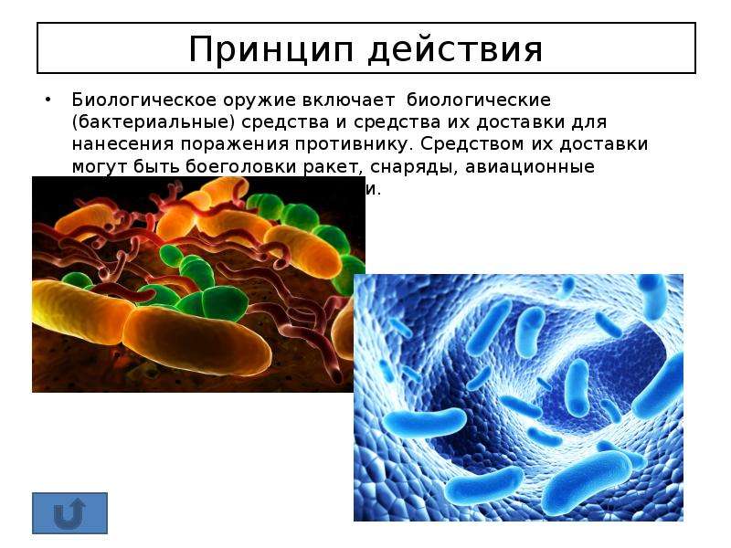 Действие биологического оружия. Принцип действия биологического оружия. Бактериологическое оружие принцип действия. Бактерии от биологического оружия. Грибки биологическое оружие.