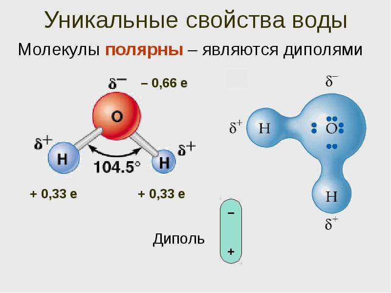 Схема строения молекулы