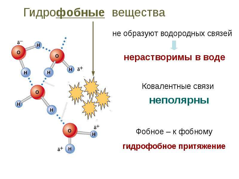 Биологические молекулы презентация