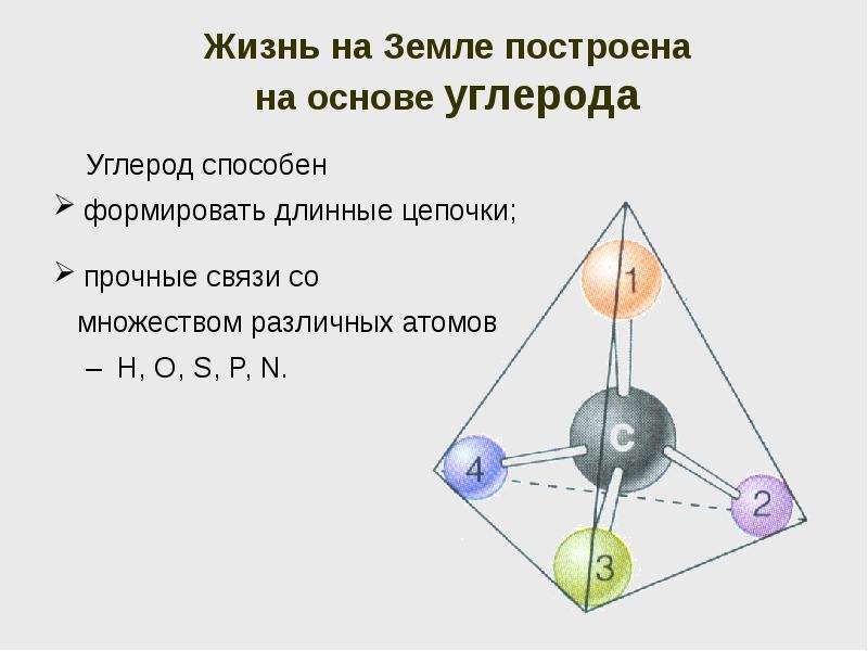 Биологические молекулы презентация