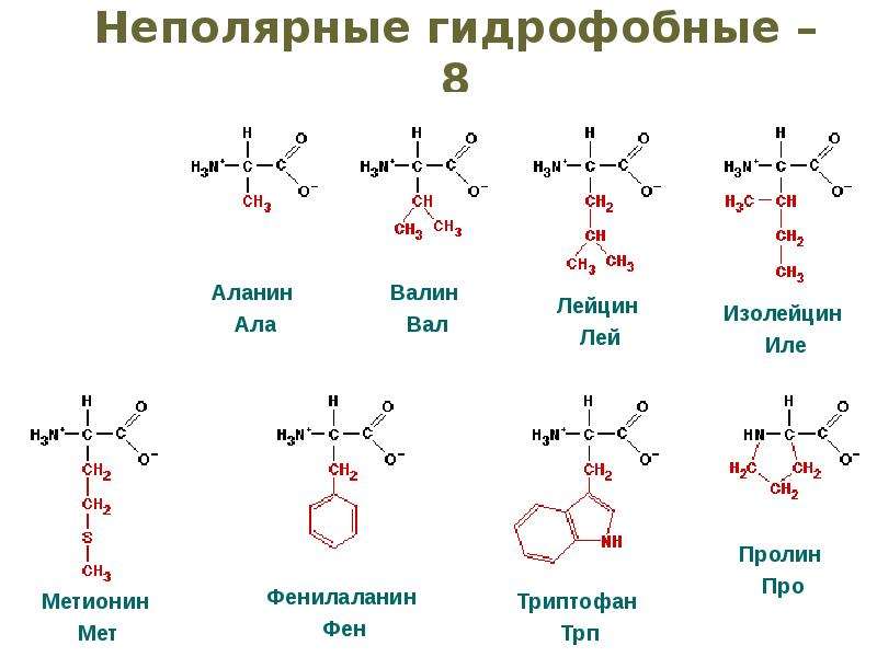 Ионная схема kf