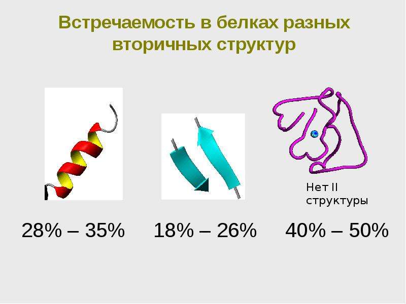 Биологические молекулы презентация