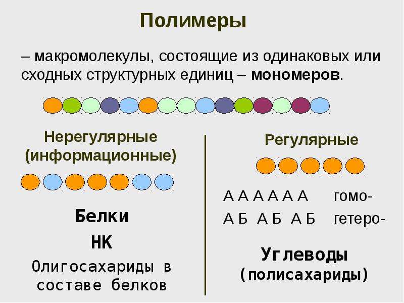 Биологические молекулы презентация