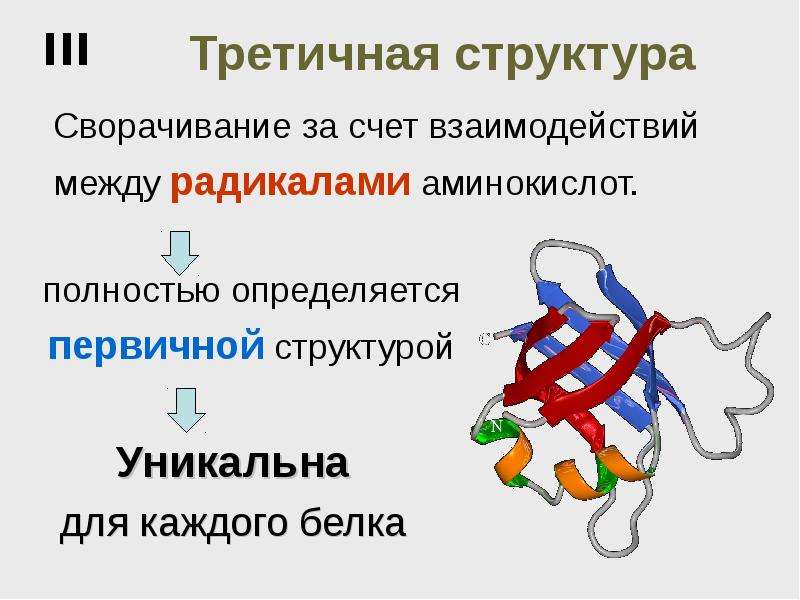 Биологические молекулы презентация