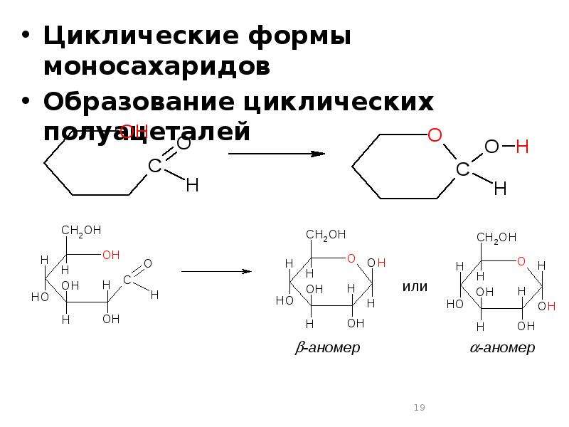 Циклические формы моносахаридов Циклические формы моносахаридов Образование циклических полуацеталей