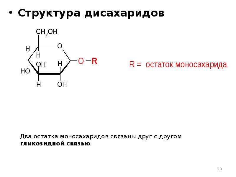 Структура дисахаридов Структура дисахаридов
