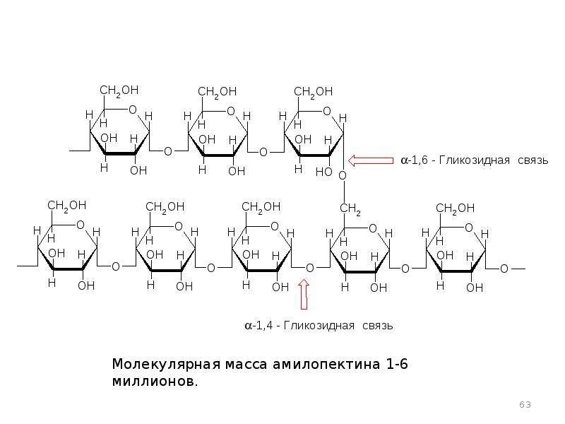 Углеводы. Моносахариды, олигосахариды (дисахариды), рис. 63