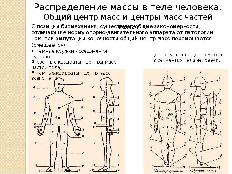 Центр тяжести рисунок