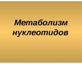 Метаболизм нуклеотидов