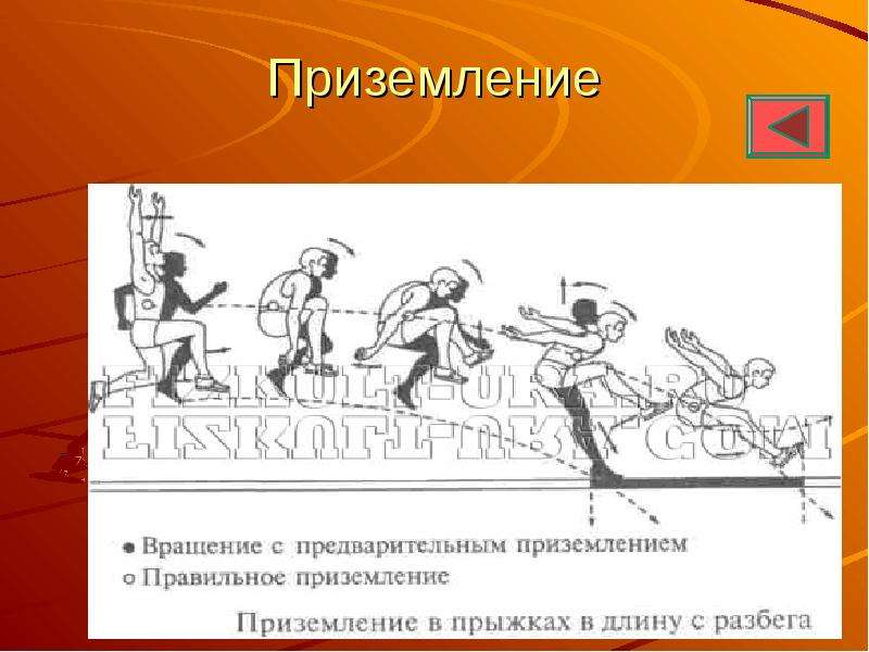 Прыжки в длину с разбега. Техника прыжка в длину с разбега. Прыжок в длину приземление. Приземление в прыжках в длину с разбега осуществляется....