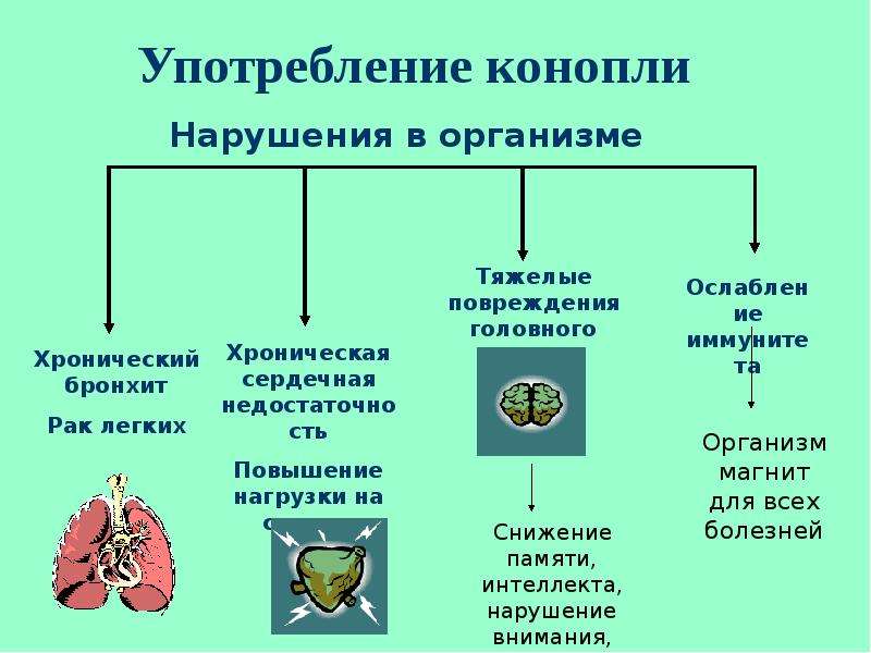 Лекции о вреде марихуаны мир семян интернет магазин красноярск