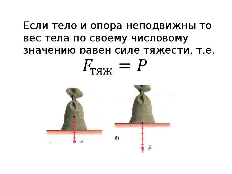 Вес равен силе тяжести