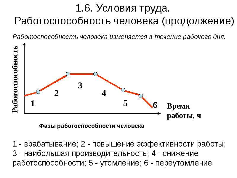 Времени в течение рабочего дня. Фазы динамики работоспособности. Работоспособность человека и ее фазы. Фазы работоспособности человека в течение рабочего дня. Динамика работоспособности в течение рабочего дня.