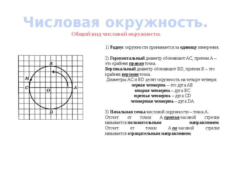 Числовая окружность t