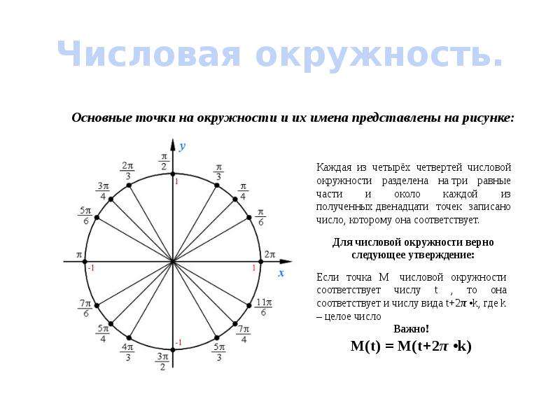 Числовая окружность. Числовая окружность 10 класс отрицательные. 3п на числовой окружности. Числовая окружность 60 градусов. Макеты числовой окружности 10 класс.