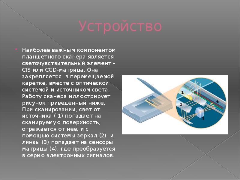 Презентация сканеры и программная поддержка их работы