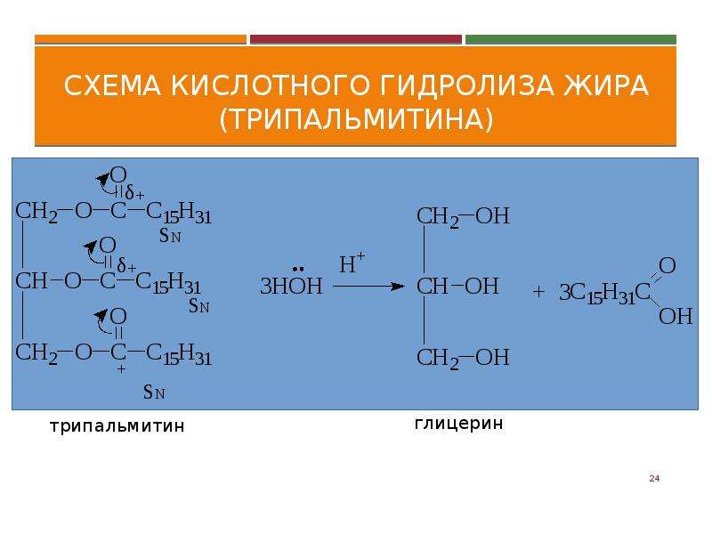 Трипальмитат глицерина гидролиз