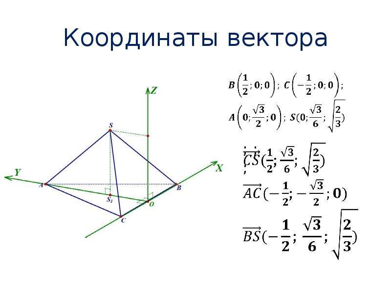 Координата точки середины вектора