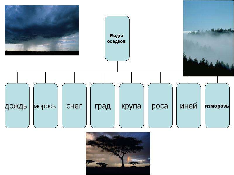 Составь в тетради схему виды атмосферных осадков