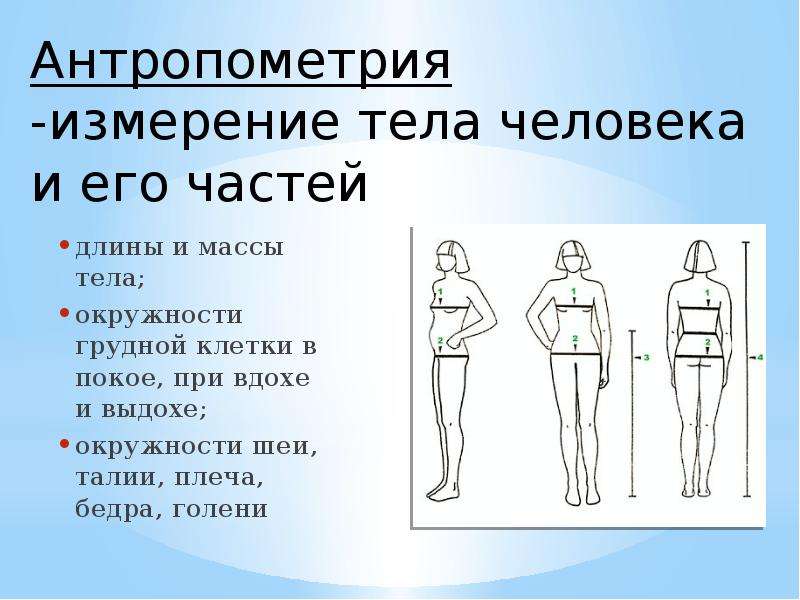 В состоянии выдоха обхват грудной клетки. Антропометрия человеческого тела. Антропометрические измерения. Антропометрия это измерение. Антропометрические измерения человека.