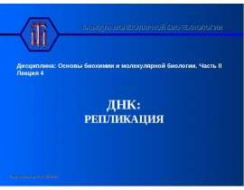 Репликация ДНК. Элонгация репликации ДНК. (Лекция 4)