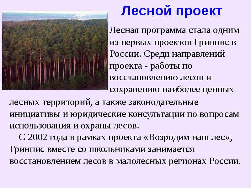 Лесной проект лесных территорий, а также законодательные инициативы и юридические консультации по во