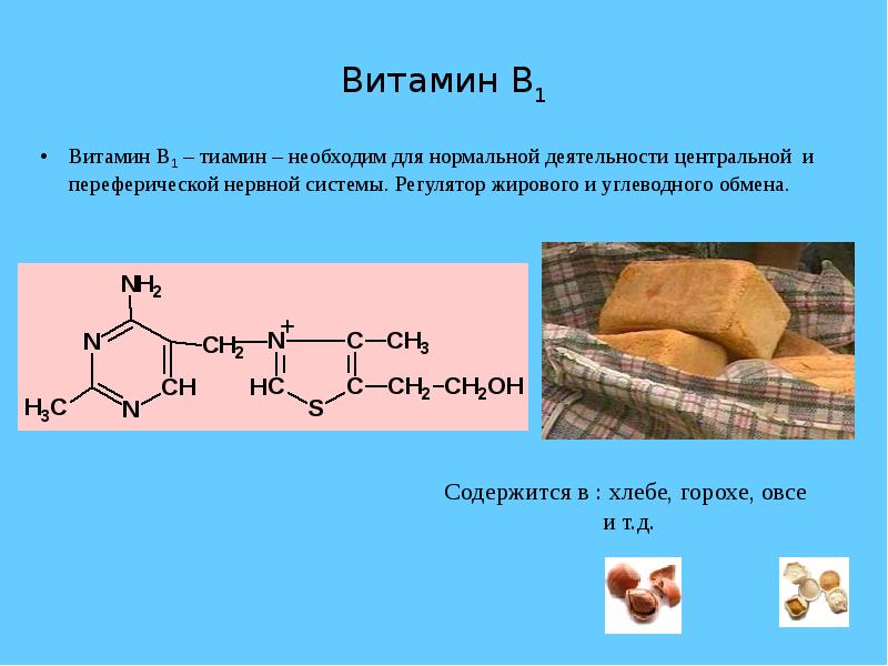 Роль витамина в3. Витамины в жизни человека.