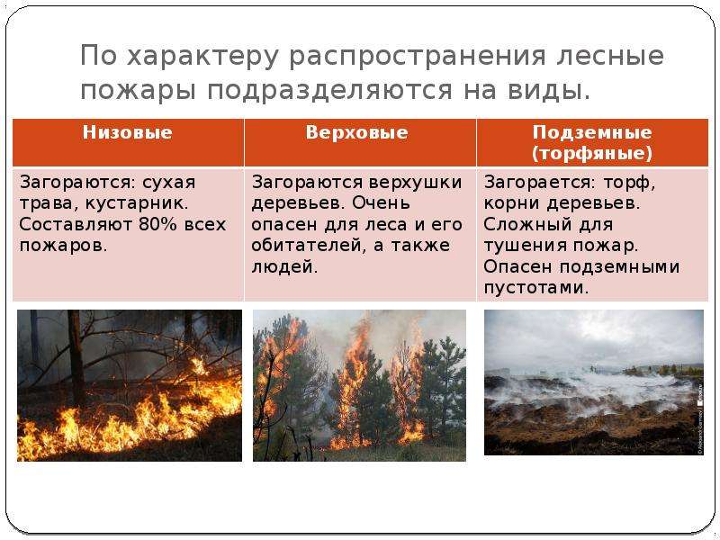 Распространение огня. Природные пожары подразделяются на. Характеристика природных пожаров. Лесные пожары делятся на. Лесные пожары таблица.