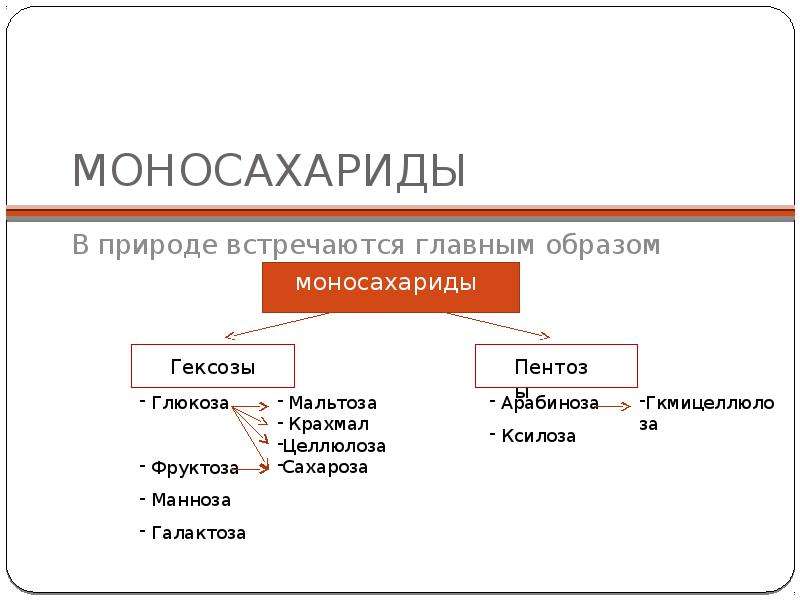 Технология отрасли. Роль моносахаридов. Биологические функции моносахаридов. Моносахариды функции роль. Применение моносахаридов.