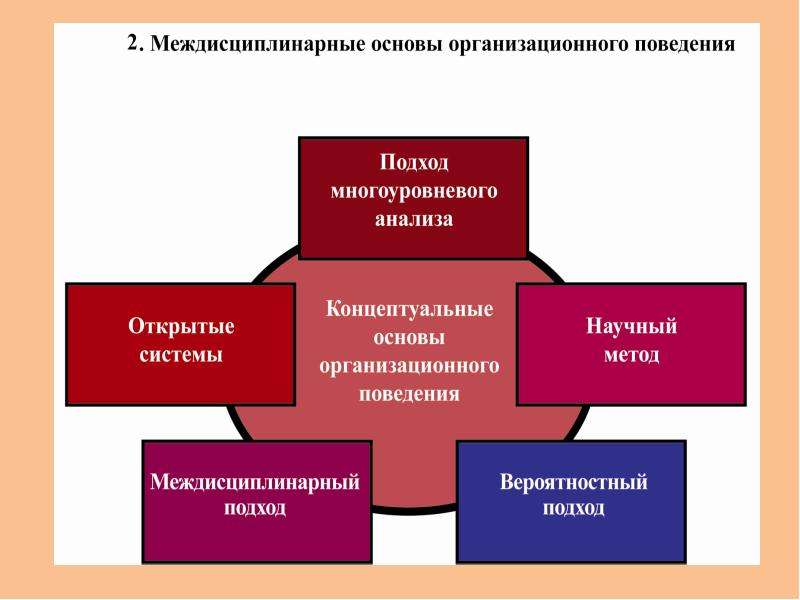 Междисциплинарный проект это